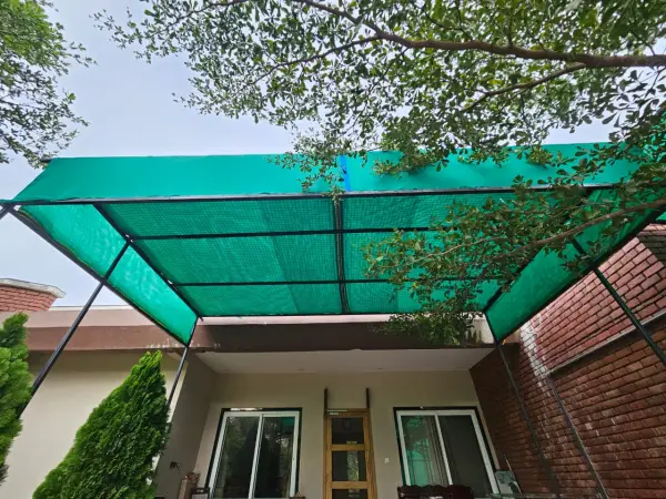 Pigeon Safety Nets in Hyderabad