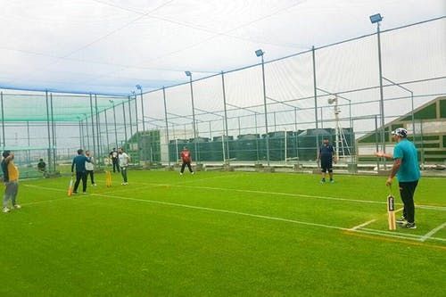 Sports Nets